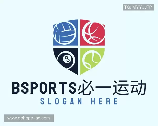 介绍bsports必一运动